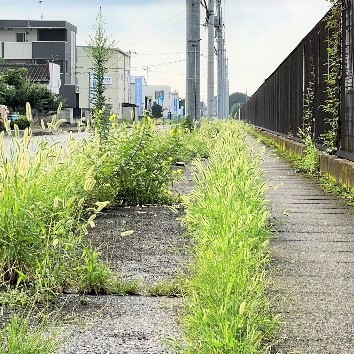 森六テクノロジー関東工場が周辺歩道の除草清掃活動を実施