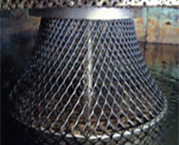 Netron mesh