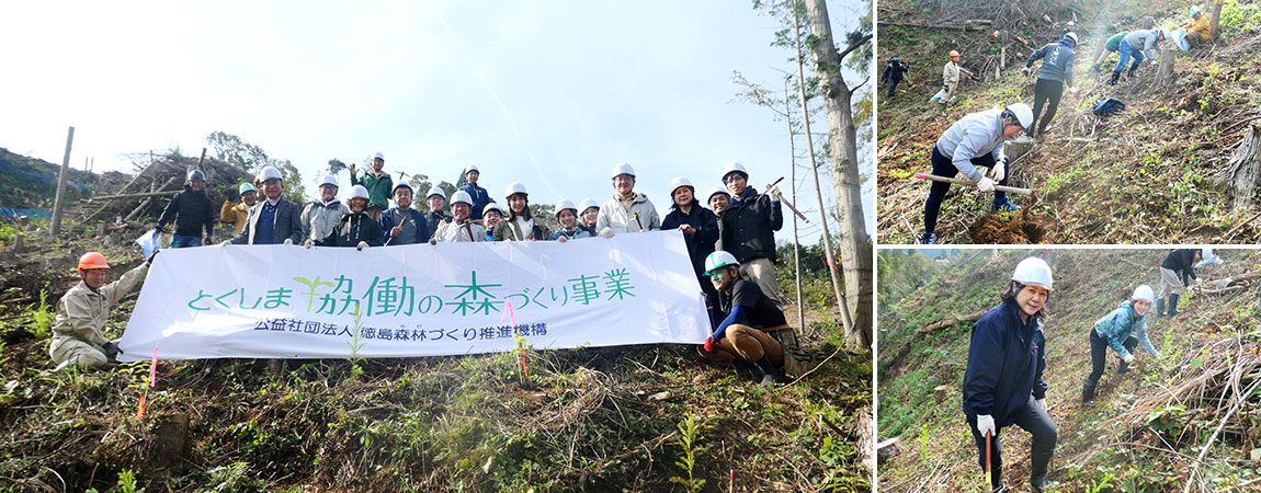 Forest of Moriroku IN Tokushima