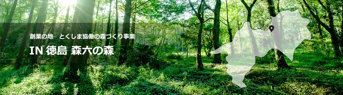 創業の地 とくしま協働の森づくり事業 IN 徳島 森六の森